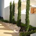 Jardín de Húmera (Madrid) #5