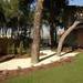 Jardín de Húmera (Pozuelo) #2